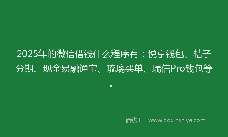 2025年的微信借钱什么程序有：悦享钱包、桔子分期、现金易融通宝、琉璃买单、瑞信Pro钱包等。