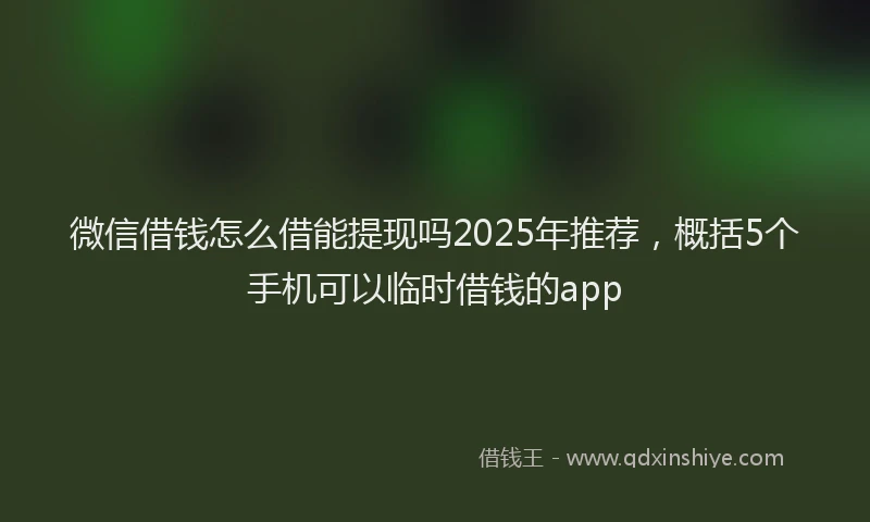微信借钱怎么借能提现吗2025年推荐，概括5个手机可以临时借钱的app