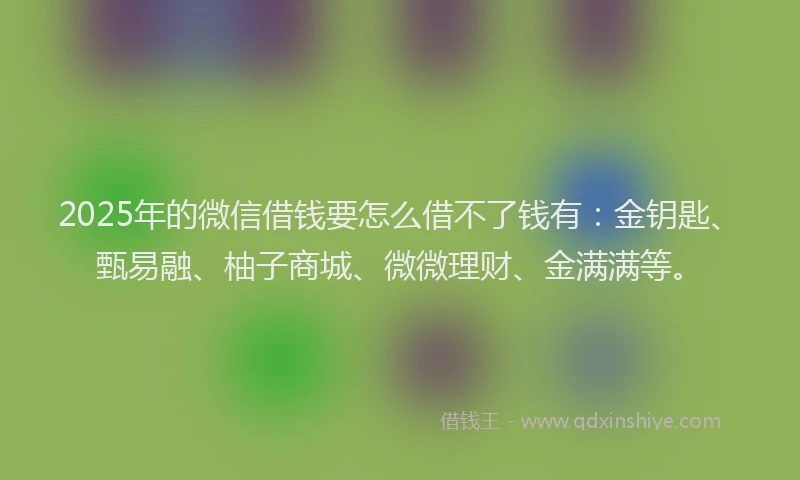 2025年的微信借钱要怎么借不了钱有：金钥匙、甄易融、柚子商城、微微理财、金满满等。