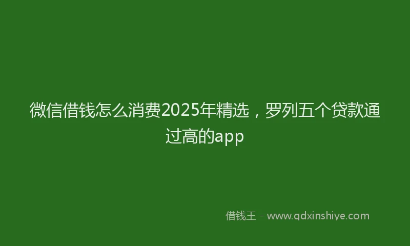 微信借钱怎么消费2025年精选，罗列五个贷款通过高的app