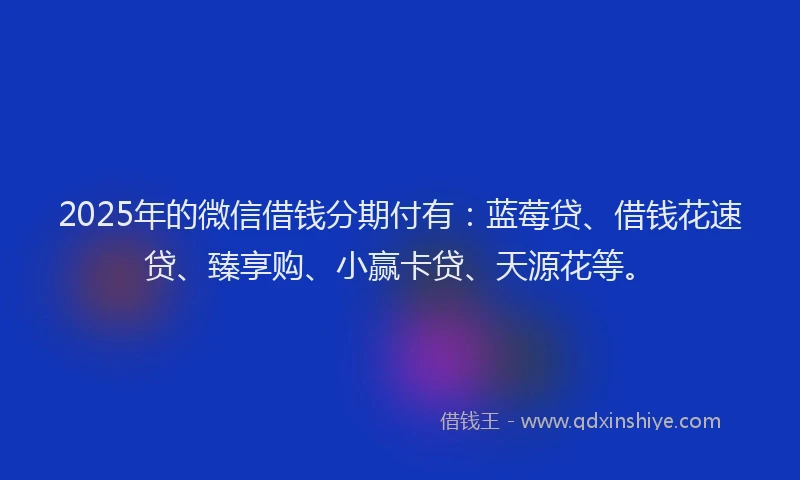 2025年的微信借钱分期付有：蓝莓贷、借钱花速贷、臻享购、小赢卡贷、天源花等。