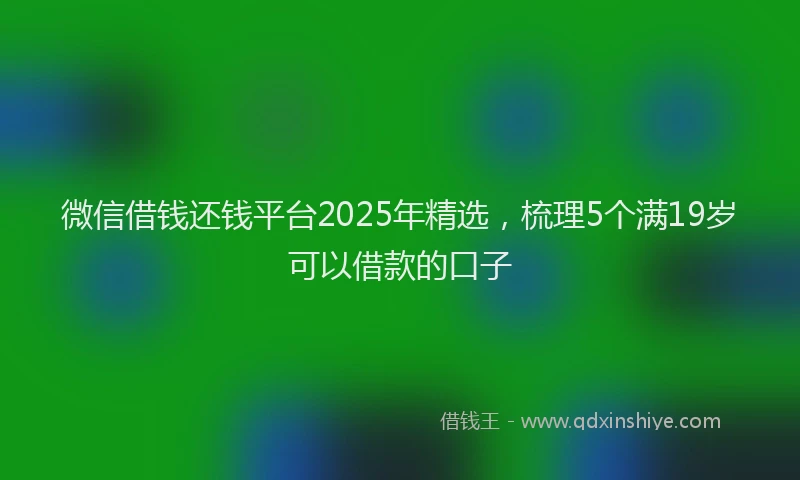 微信借钱还钱平台2025年精选，梳理5个满19岁可以借款的口子