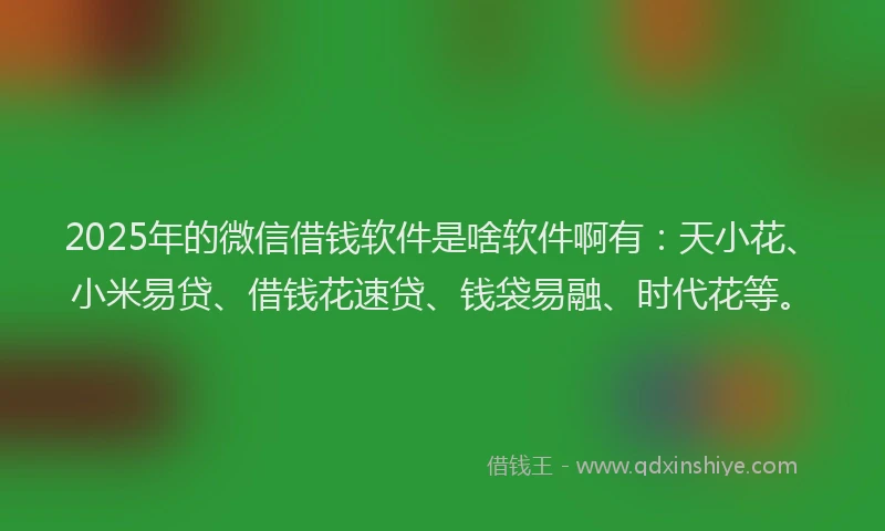 2025年的微信借钱软件是啥软件啊有：天小花、小米易贷、借钱花速贷、钱袋易融、时代花等。