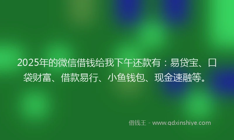 2025年的微信借钱给我下午还款有：易贷宝、口袋财富、借款易行、小鱼钱包、现金速融等。