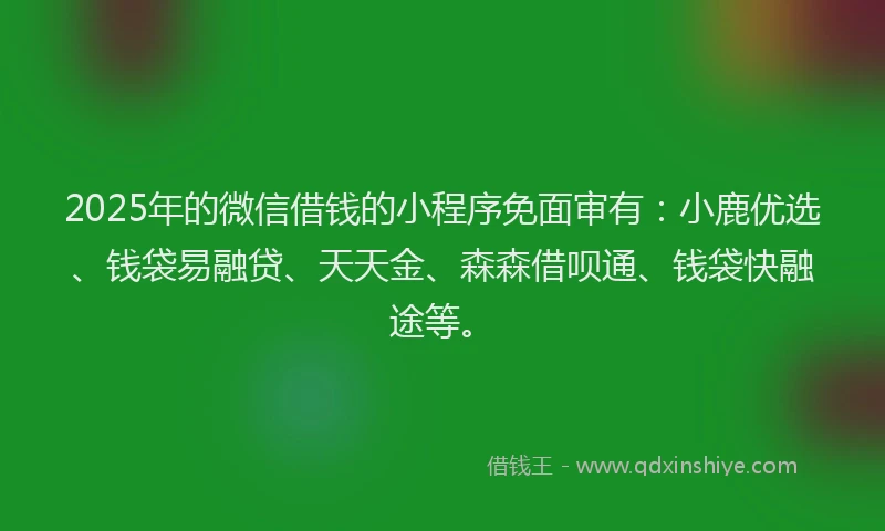 2025年的微信借钱的小程序免面审有：小鹿优选、钱袋易融贷、天天金、森森借呗通、钱袋快融途等。