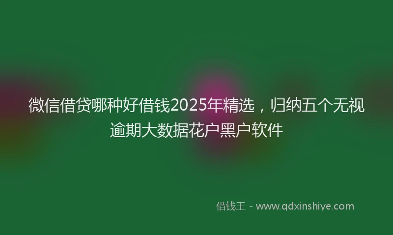 微信借贷哪种好借钱2025年精选，归纳五个无视逾期大数据花户黑户软件