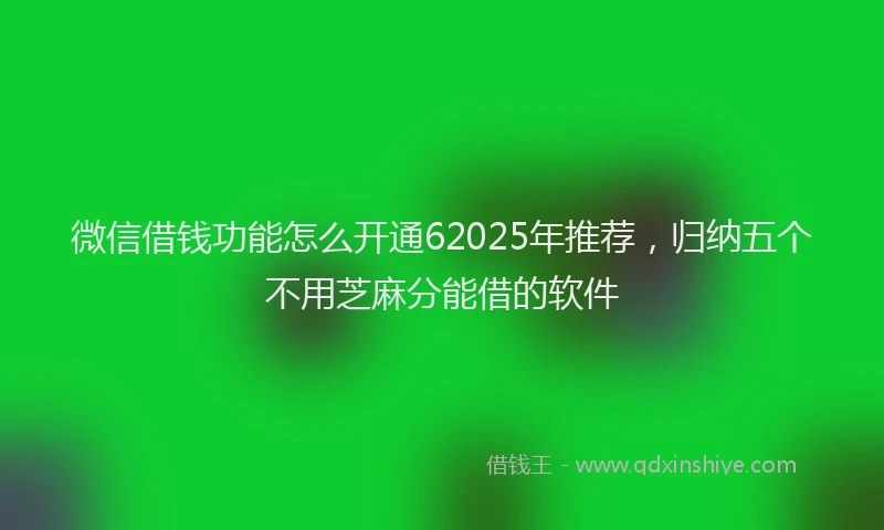 微信借钱功能怎么开通62025年推荐，归纳五个不用芝麻分能借的软件