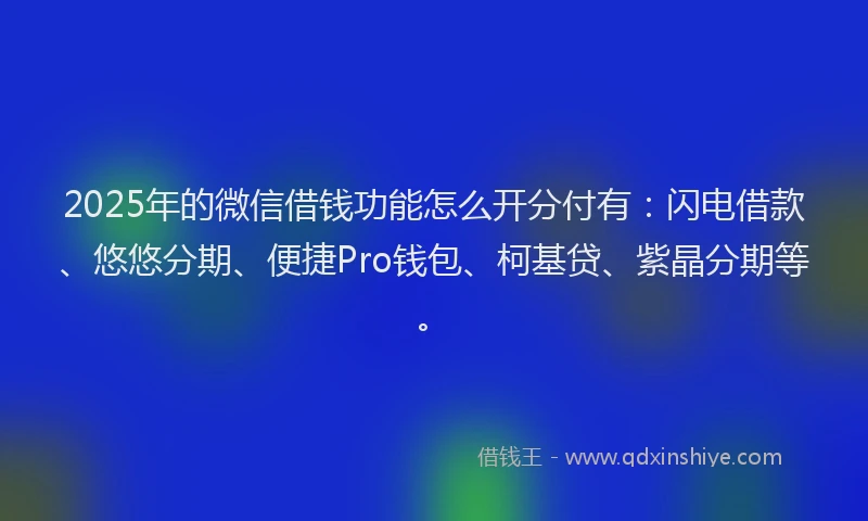 2025年的微信借钱功能怎么开分付有：闪电借款、悠悠分期、便捷Pro钱包、柯基贷、紫晶分期等。