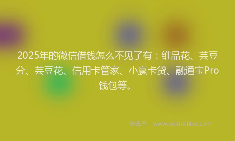 2025年的微信借钱怎么不见了有：维品花、芸豆分、芸豆花、信用卡管家、小赢卡贷、融通宝Pro钱包等。