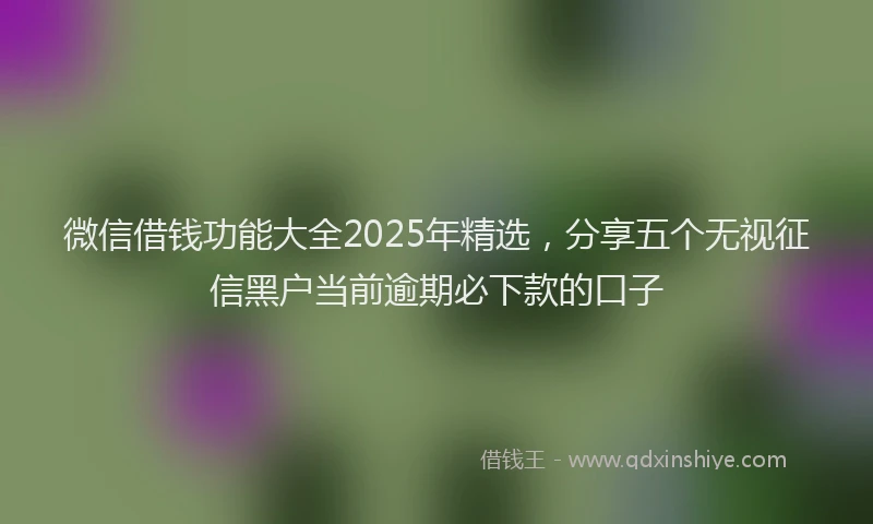 微信借钱功能大全2025年精选，分享五个无视征信黑户当前逾期必下款的口子