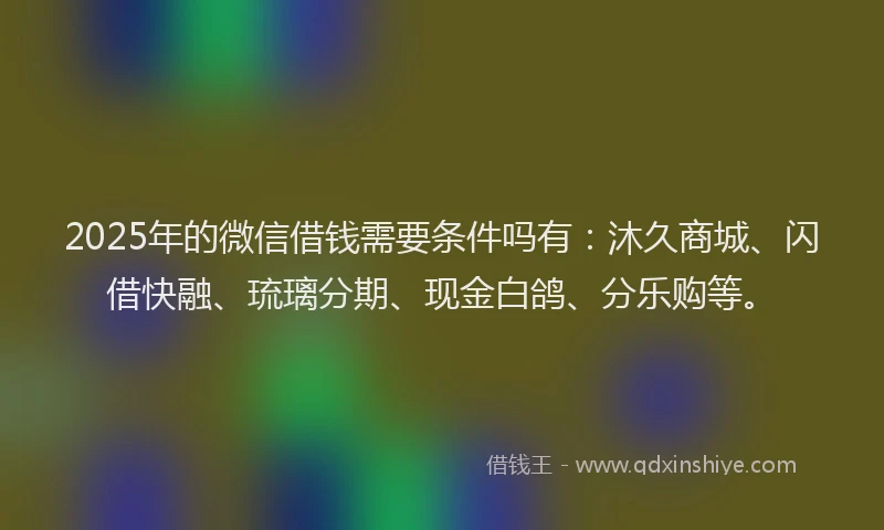 2025年的微信借钱需要条件吗有：沐久商城、闪借快融、琉璃分期、现金白鸽、分乐购等。