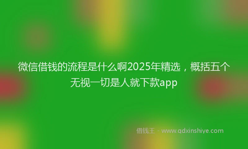 微信借钱的流程是什么啊2025年精选，概括五个无视一切是人就下款app