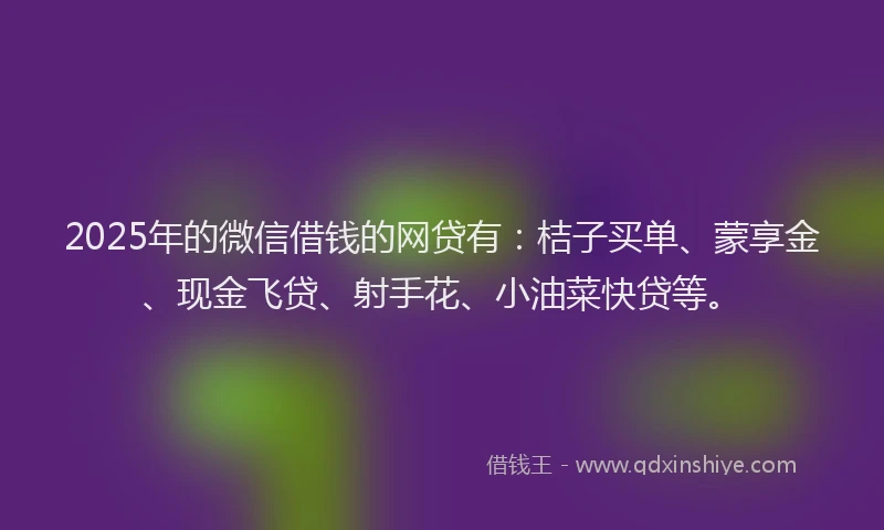 2025年的微信借钱的网贷有：桔子买单、蒙享金、现金飞贷、射手花、小油菜快贷等。