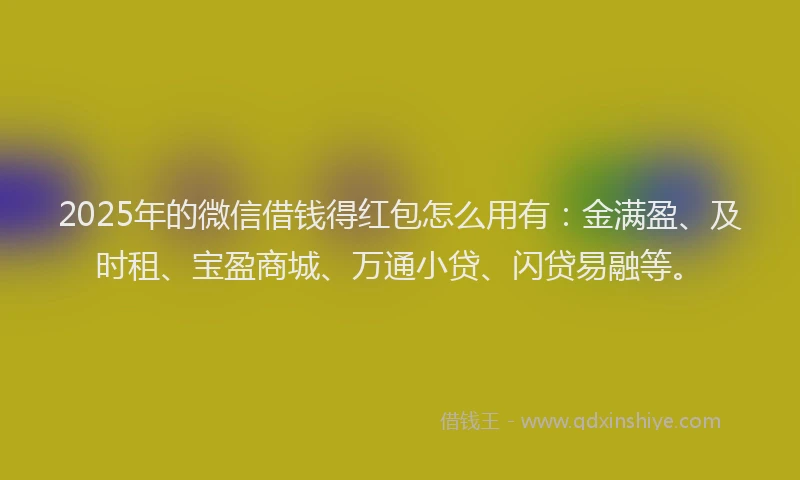 2025年的微信借钱得红包怎么用有：金满盈、及时租、宝盈商城、万通小贷、闪贷易融等。