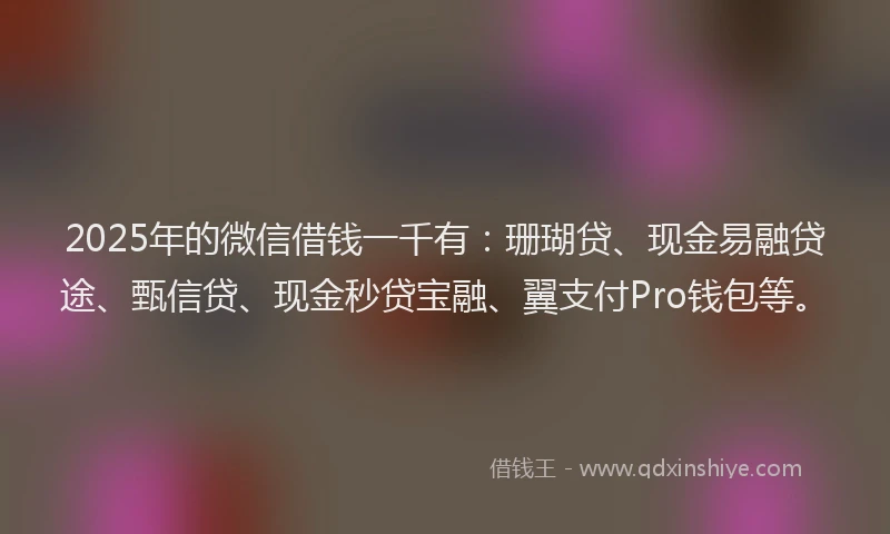 2025年的微信借钱一千有：珊瑚贷、现金易融贷途、甄信贷、现金秒贷宝融、翼支付Pro钱包等。