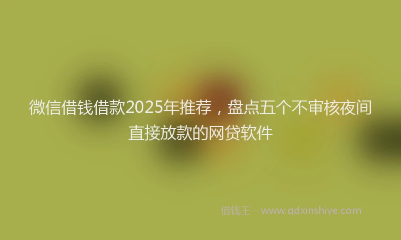 微信借钱借款2025年推荐，盘点五个不审核夜间直接放款的网贷软件