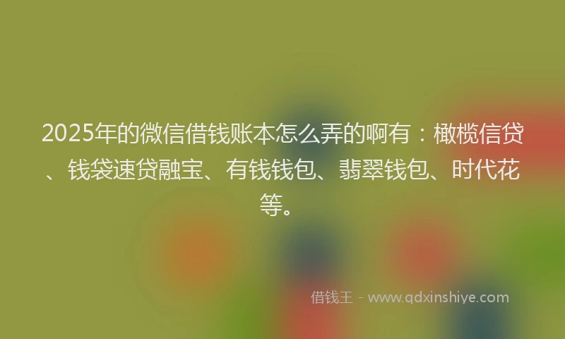 2025年的微信借钱账本怎么弄的啊有：橄榄信贷、钱袋速贷融宝、有钱钱包、翡翠钱包、时代花等。