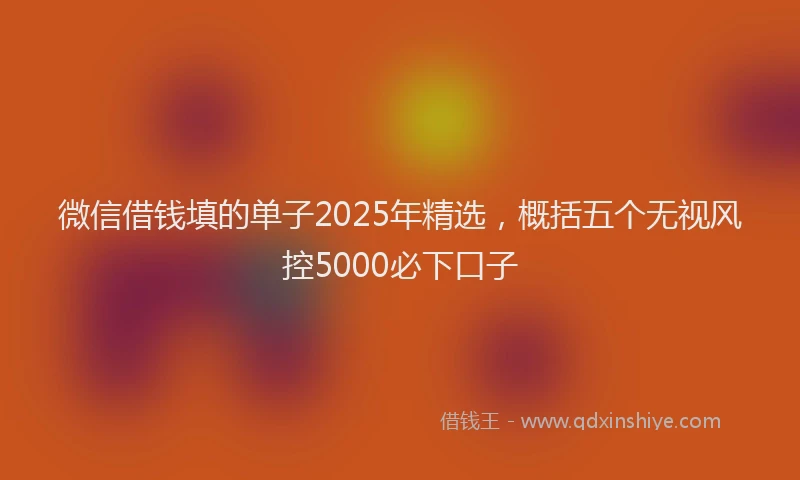 微信借钱填的单子2025年精选，概括五个无视风控5000必下口子