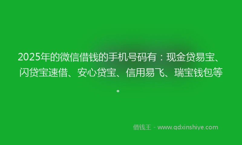 2025年的微信借钱的手机号码有：现金贷易宝、闪贷宝速借、安心贷宝、信用易飞、瑞宝钱包等。