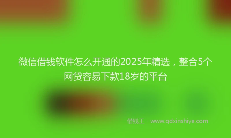 微信借钱软件怎么开通的2025年精选，整合5个网贷容易下款18岁的平台