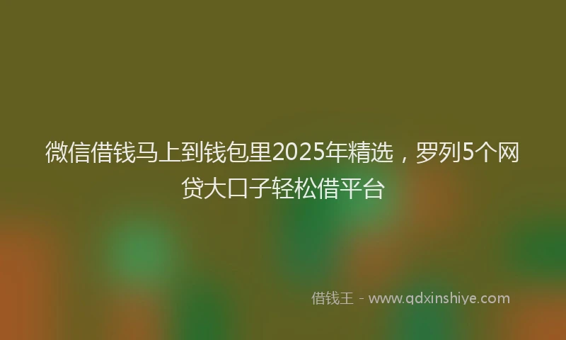 微信借钱马上到钱包里2025年精选，罗列5个网贷大口子轻松借平台
