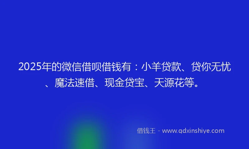 2025年的微信借呗借钱有：小羊贷款、贷你无忧、魔法速借、现金贷宝、天源花等。