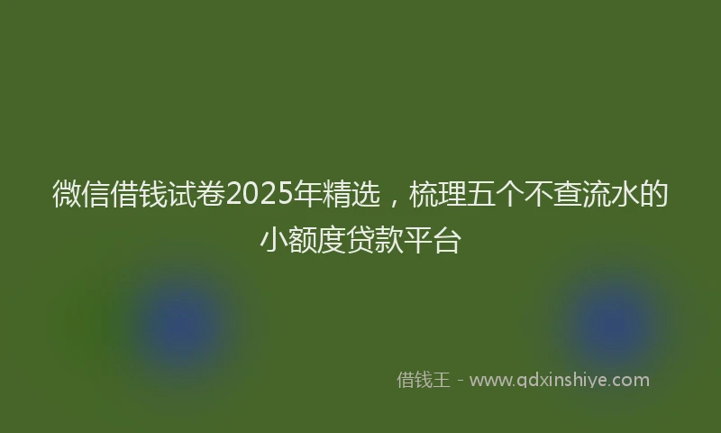 微信借钱试卷2025年精选，梳理五个不查流水的小额度贷款平台