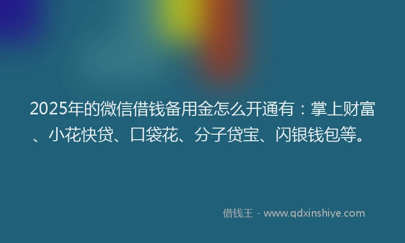 2025年的微信借钱备用金怎么开通有：掌上财富、小花快贷、口袋花、分子贷宝、闪银钱包等。