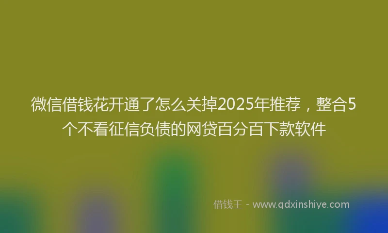微信借钱花开通了怎么关掉2025年推荐，整合5个不看征信负债的网贷百分百下款软件