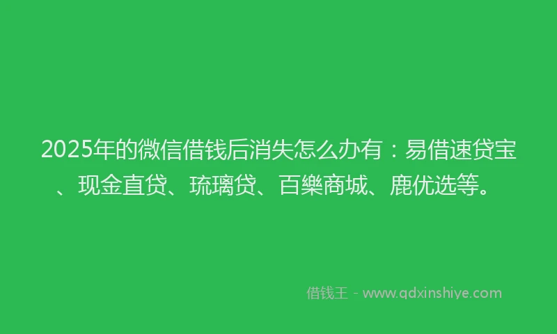 2025年的微信借钱后消失怎么办有：易借速贷宝、现金直贷、琉璃贷、百樂商城、鹿优选等。