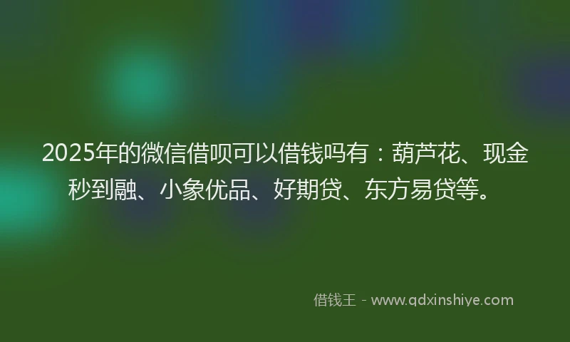 2025年的微信借呗可以借钱吗有：葫芦花、现金秒到融、小象优品、好期贷、东方易贷等。