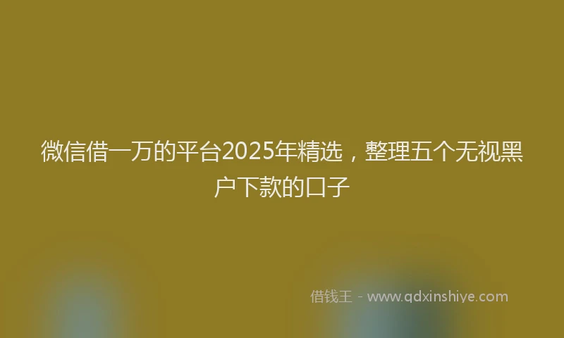 微信借一万的平台2025年精选，整理五个无视黑户下款的口子