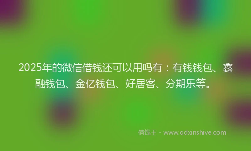 2025年的微信借钱还可以用吗有：有钱钱包、鑫融钱包、金亿钱包、好居客、分期乐等。
