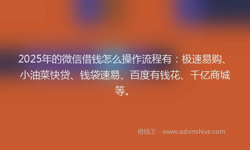 2025年的微信借钱怎么操作流程有：极速易购、小油菜快贷、钱袋速易、百度有钱花、千亿商城等。