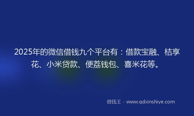 2025年的微信借钱九个平台有：借款宝融、桔享花、小米贷款、便荔钱包、喜米花等。