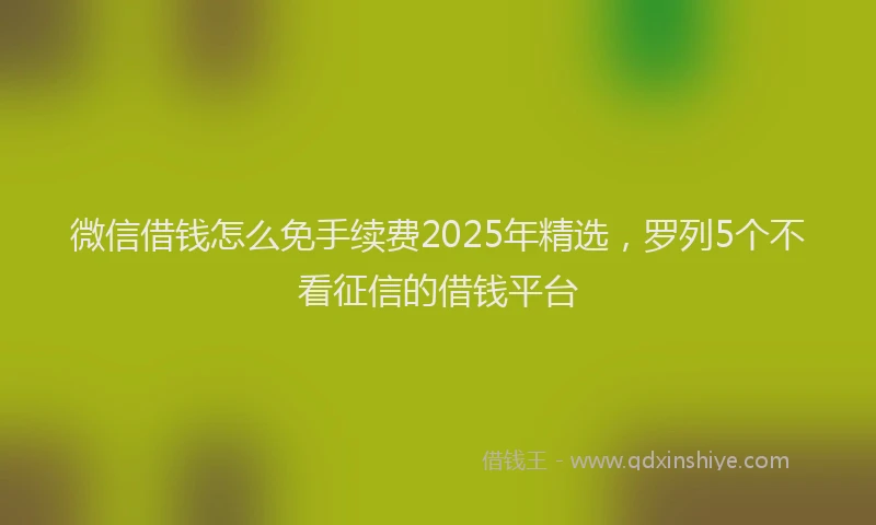 微信借钱怎么免手续费2025年精选，罗列5个不看征信的借钱平台