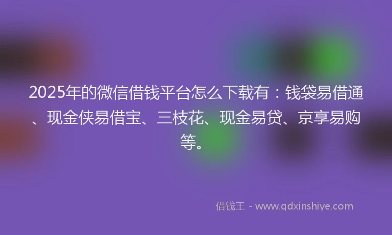 2025年的微信借钱平台怎么下载有：钱袋易借通、现金侠易借宝、三枝花、现金易贷、京享易购等。