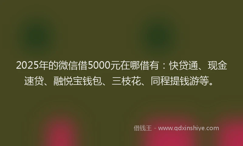 2025年的微信借5000元在哪借有：快贷通、现金速贷、融悦宝钱包、三枝花、同程提钱游等。