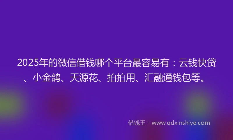 2025年的微信借钱哪个平台最容易有：云钱快贷、小金鸽、天源花、拍拍用、汇融通钱包等。