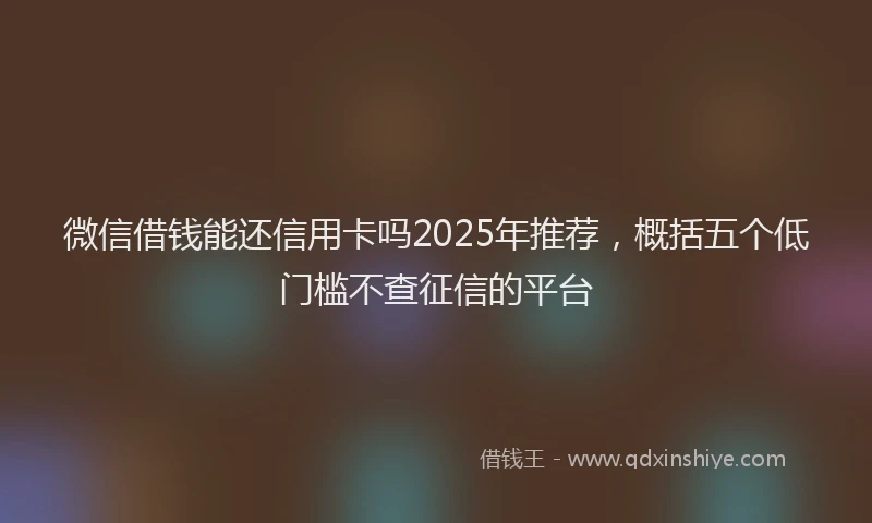 微信借钱能还信用卡吗2025年推荐，概括五个低门槛不查征信的平台