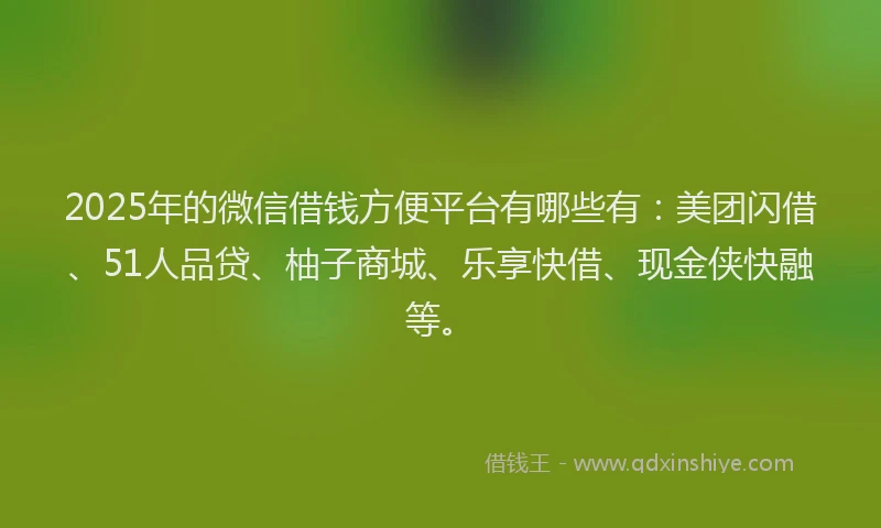 2025年的微信借钱方便平台有哪些有：美团闪借、51人品贷、柚子商城、乐享快借、现金侠快融等。