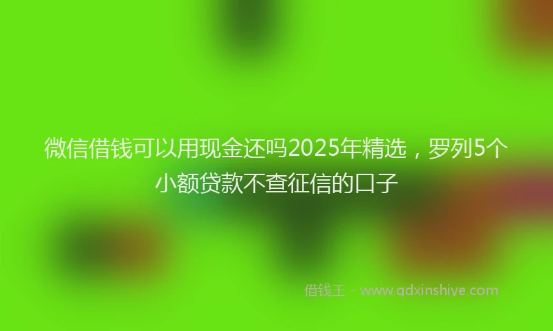 微信借钱可以用现金还吗2025年精选，罗列5个小额贷款不查征信的口子