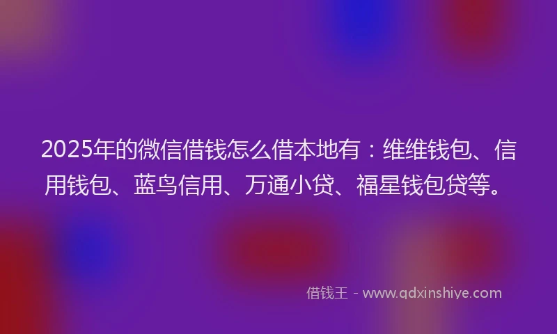 2025年的微信借钱怎么借本地有：维维钱包、信用钱包、蓝鸟信用、万通小贷、福星钱包贷等。