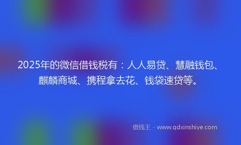 2025年的微信借钱税有：人人易贷、慧融钱包、麒麟商城、携程拿去花、钱袋速贷等。