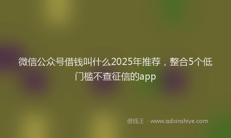 微信公众号借钱叫什么2025年推荐，整合5个低门槛不查征信的app