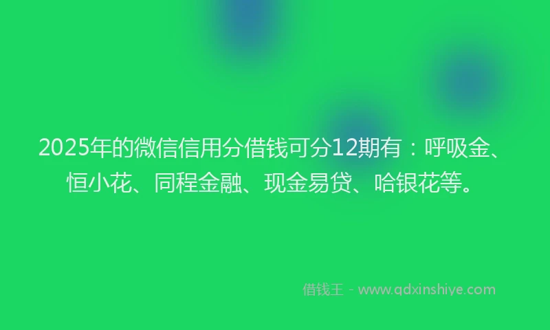 2025年的微信信用分借钱可分12期有：呼吸金、恒小花、同程金融、现金易贷、哈银花等。