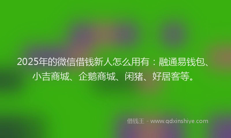 2025年的微信借钱新人怎么用有：融通易钱包、小吉商城、企鹅商城、闲猪、好居客等。