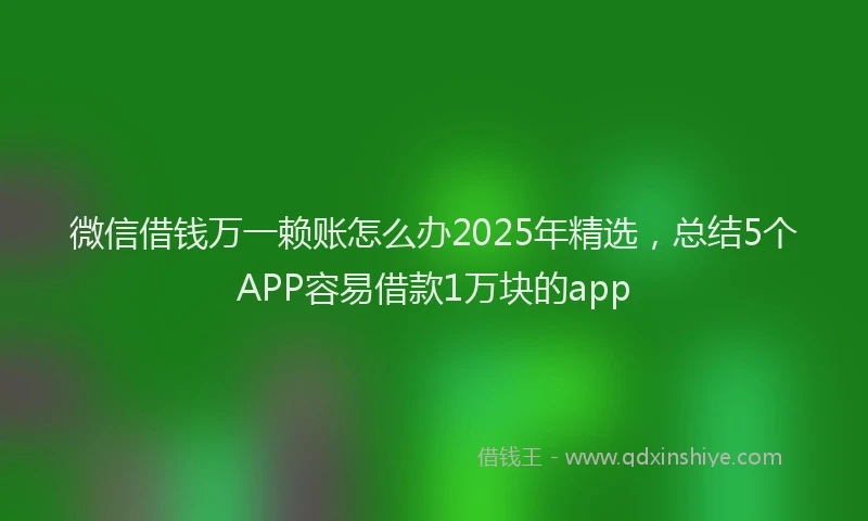 微信借钱万一赖账怎么办2025年精选，总结5个APP容易借款1万块的app