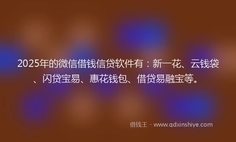 2025年的微信借钱信贷软件有：新一花、云钱袋、闪贷宝易、惠花钱包、借贷易融宝等。