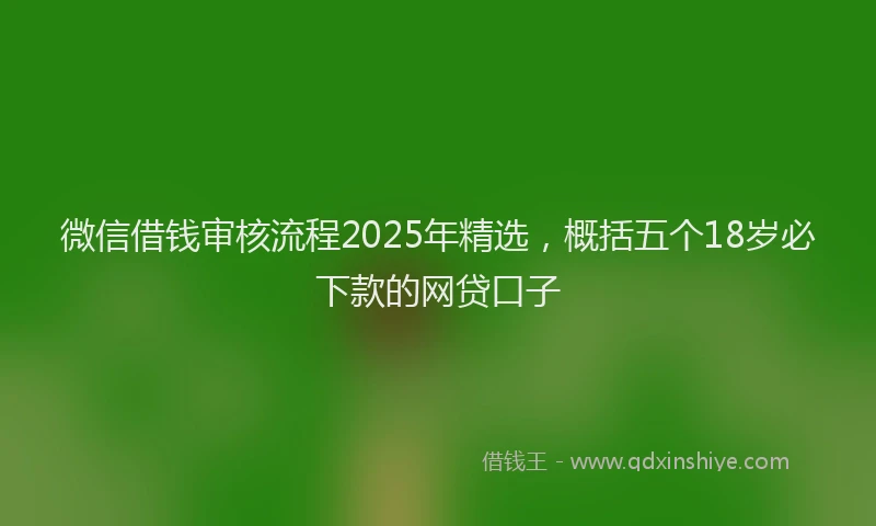 微信借钱审核流程2025年精选，概括五个18岁必下款的网贷口子